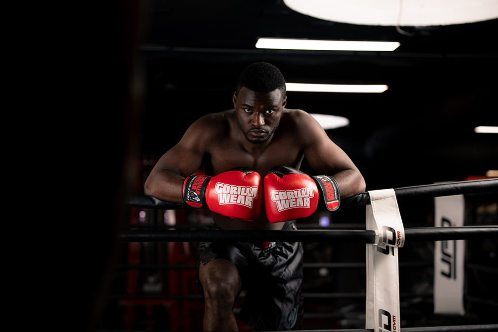 Gorilla Wear - Ashton Pro Boxing Gloves