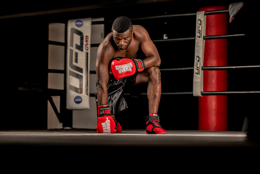 Gorilla Wear - Ashton Pro Boxing Gloves