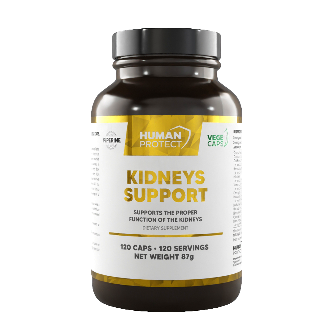 Kidneys Support