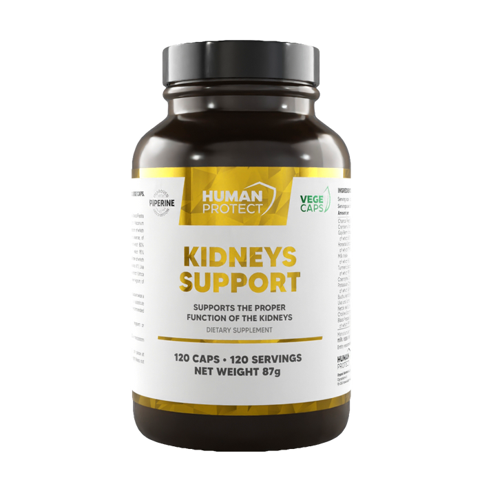 Kidneys Support