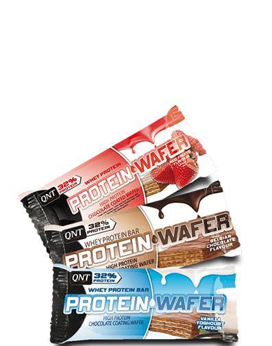 Protein Wafer